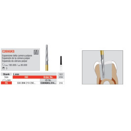 Fresa endo C269GKS