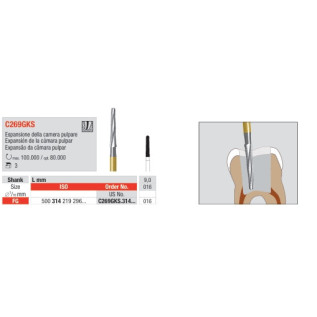Fresa endo C269GKS