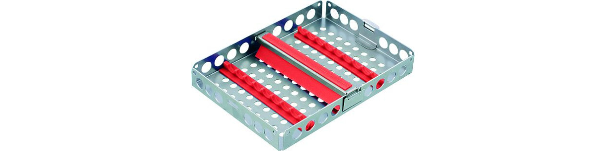 Organización